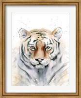 Tiger III Fine Art Print