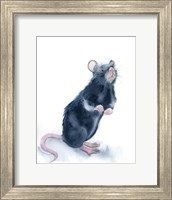 Rat Fine Art Print