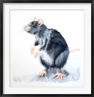 Rat II Fine Art Print