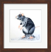 Rat II Fine Art Print