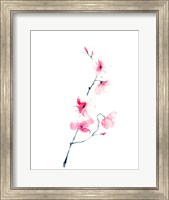 Cherry Blossom Fine Art Print
