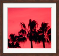 Neon Palm Trees III Fine Art Print