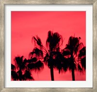 Neon Palm Trees III Fine Art Print