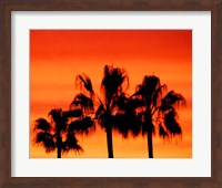 Neon Palm Trees IV Fine Art Print