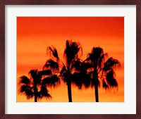 Neon Palm Trees IV Fine Art Print