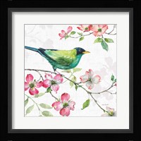 Dogwood Garden II Framed Print