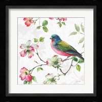 Dogwood Garden III Framed Print