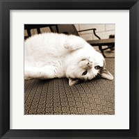 Kitty II Crop Framed Print