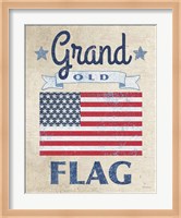 Grand Old Flag Dark Fine Art Print