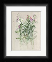 Sprigs of June I Framed Print