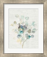 Eucalyptus III Vintage Fine Art Print