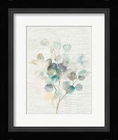Eucalyptus III Vintage Fine Art Print