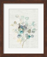 Eucalyptus III Vintage Fine Art Print