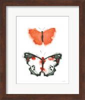 Watercolor Butterflies III Fine Art Print