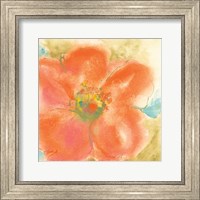 Coral Poppy II Fine Art Print