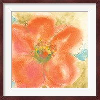 Coral Poppy II Fine Art Print