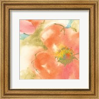 Coral Poppy I Fine Art Print