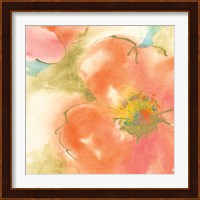 Coral Poppy I Fine Art Print