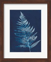 Nature By The Lake - Ferns VI Fine Art Print