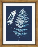 Nature By The Lake - Ferns V Fine Art Print