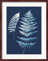 Nature By The Lake - Ferns V Fine Art Print