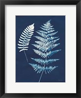 Nature By The Lake - Ferns V Framed Print