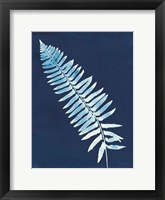 Nature By The Lake - Ferns IV Framed Print