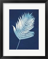 Nature By The Lake - Ferns III Framed Print