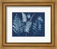 Nature By The Lake - Ferns I Fine Art Print