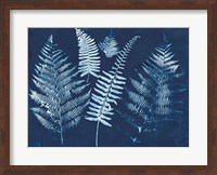 Nature By The Lake - Ferns I Fine Art Print