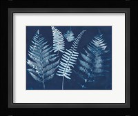 Nature By The Lake - Ferns I Framed Print