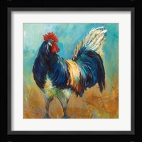 Cocky Framed Print