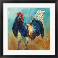 Cocky Framed Print