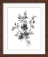 Sketchbook Flowers on White II Fine Art Print