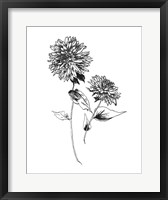 Sketchbook Flowers on White IV Fine Art Print
