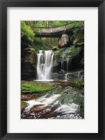 Elakala Falls West I Fine Art Print