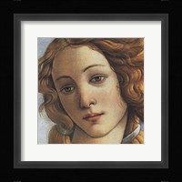 Birth of Venus (detail) Fine Art Print