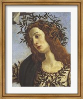 Figure of Minerva (detail) Fine Art Print