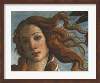 The Birth of Venus (Head of Venus), 1486 Fine Art Print