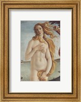 Birth of Venus, Venus Fine Art Print