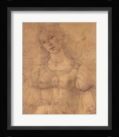 Drawing of a Woman Fine Art Print