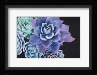 Abundance Fine Art Print