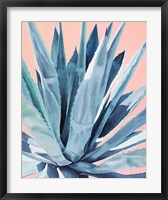 Agave with Coral Fine Art Print