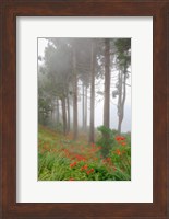 Forest of The Flowers Fine Art Print