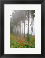 Forest of The Flowers Fine Art Print