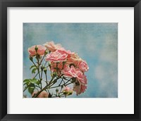 Antique Roses with French Script Fine Art Print