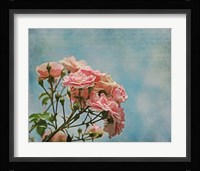 Antique Roses with French Script Fine Art Print