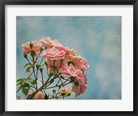 Antique Roses with French Script Fine Art Print
