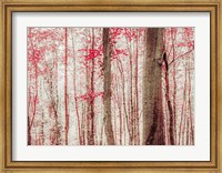 Pink & Brown Fantasy Forest Fine Art Print