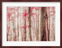Pink & Brown Fantasy Forest Fine Art Print